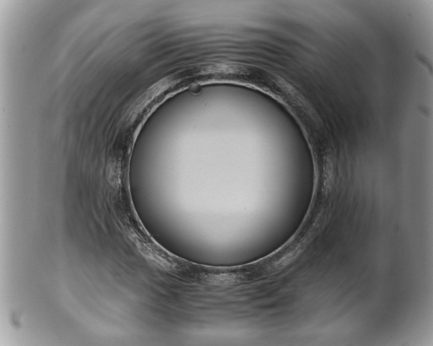 X0000101191017200807071309