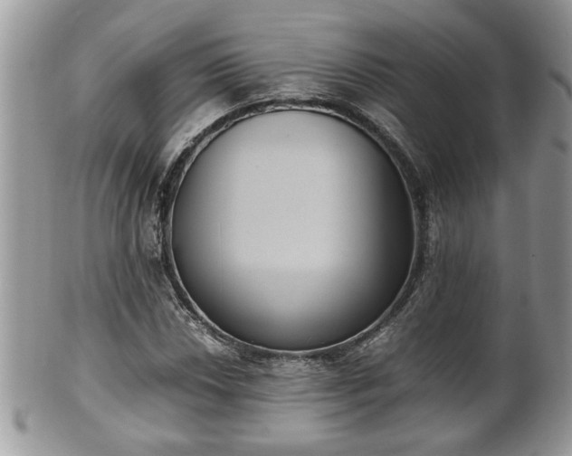 X0000101191018200807071309