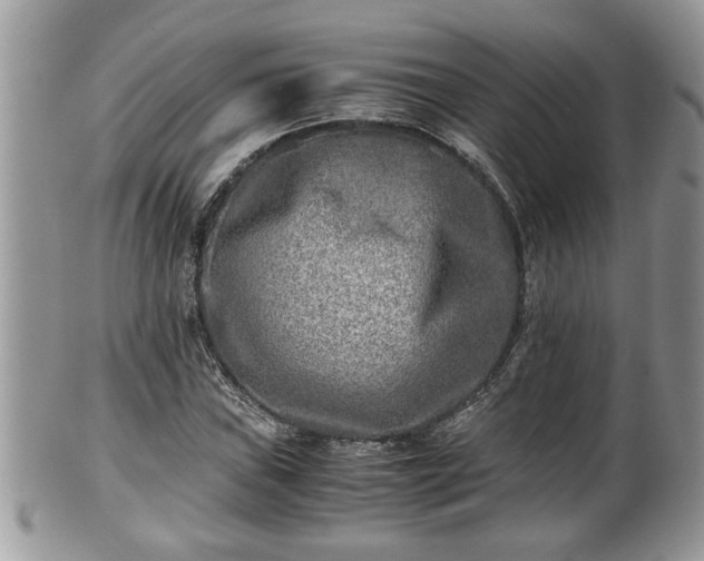 X0000101191019200807071309