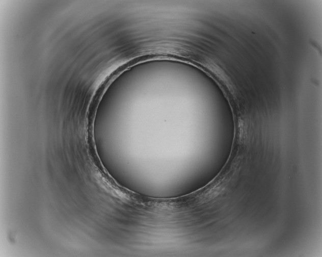 X0000101191020200807071309