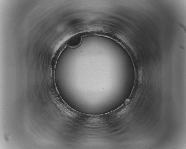 X0000101191021200807071309