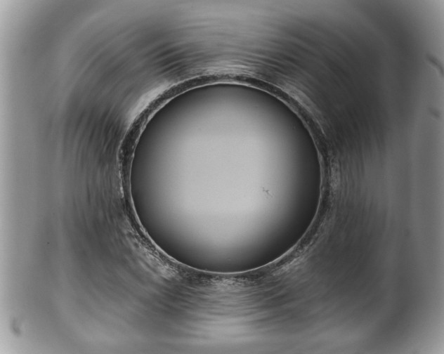 X0000101191022200807071309