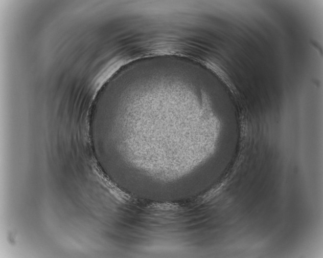 X0000101191023200807071309
