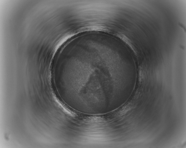 X0000101191024200807071309