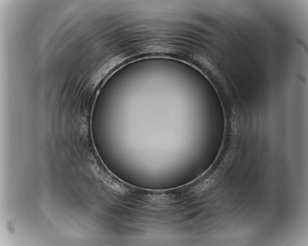X0000101191025200807071309