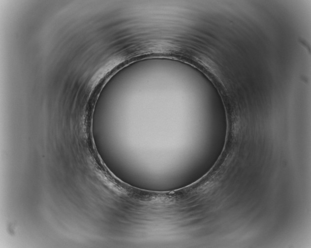 X0000101191026200807071309