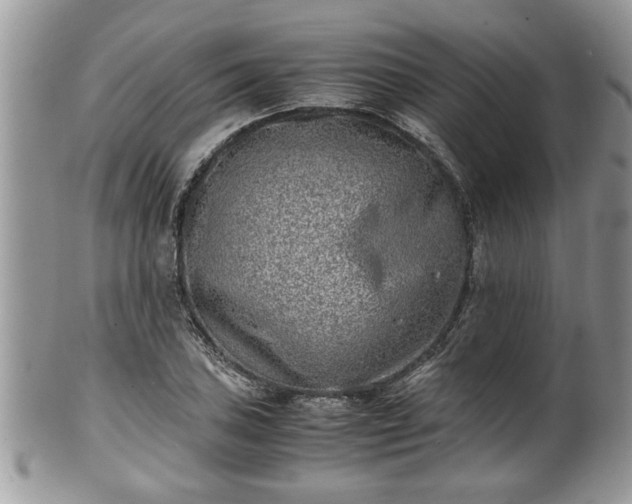 X0000101191027200807071309