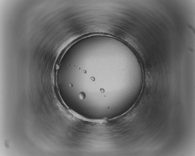 X0000101191028200807071309