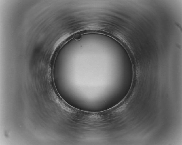 X0000101191029200807071309