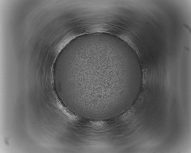 X0000101191031200807071309
