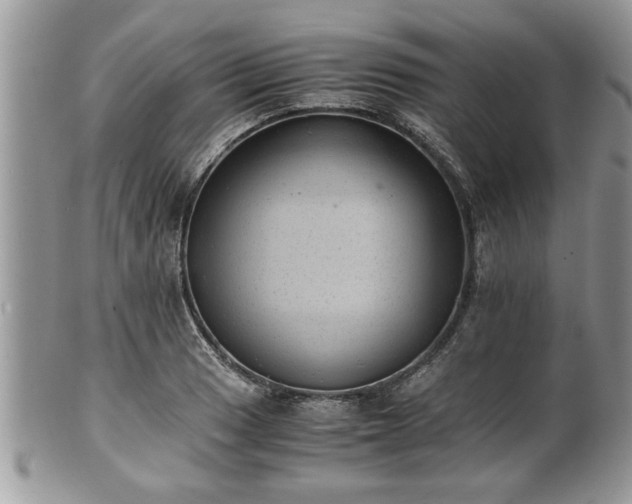 X0000101191033200807071309