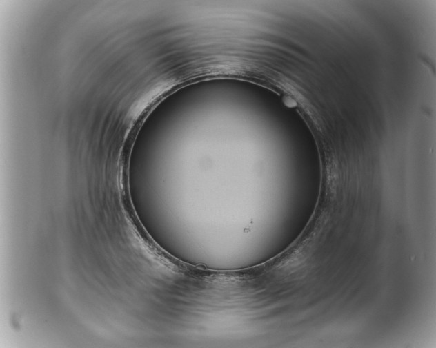 X0000101191034200807071309
