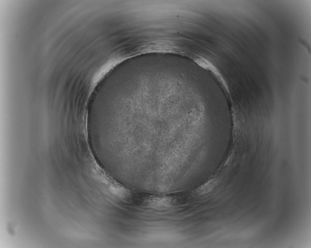 X0000101191035200807071309