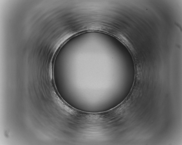 X0000101191036200807071309