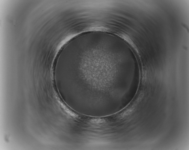 X0000101191037200807071309