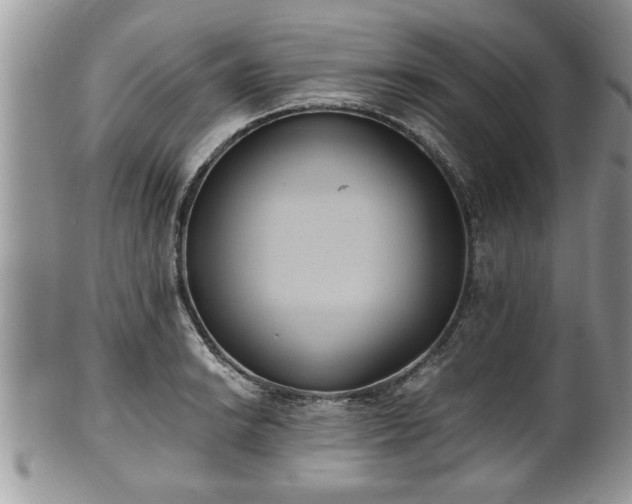 X0000101191038200807071309