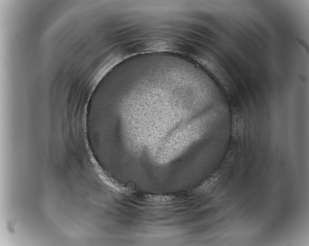 X0000101191039200807071309