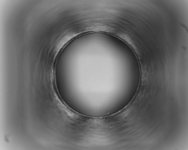 X0000101191040200807071309