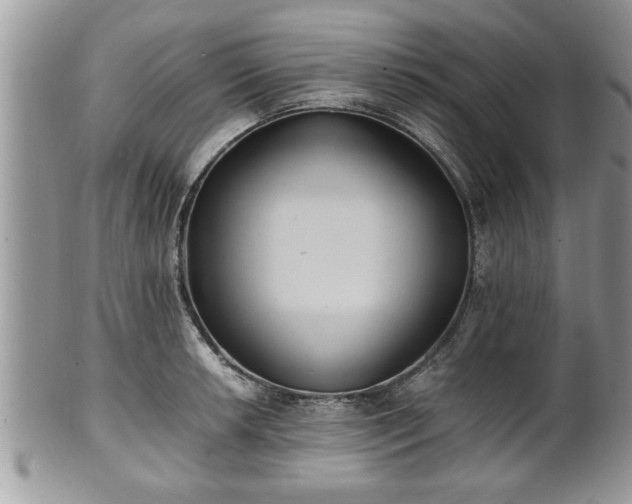 X0000101191042200807071309