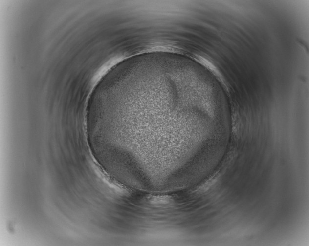 X0000101191043200807071309
