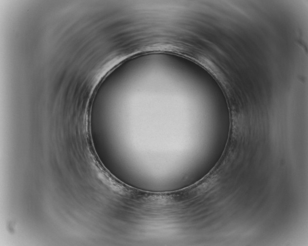 X0000101191044200807071309