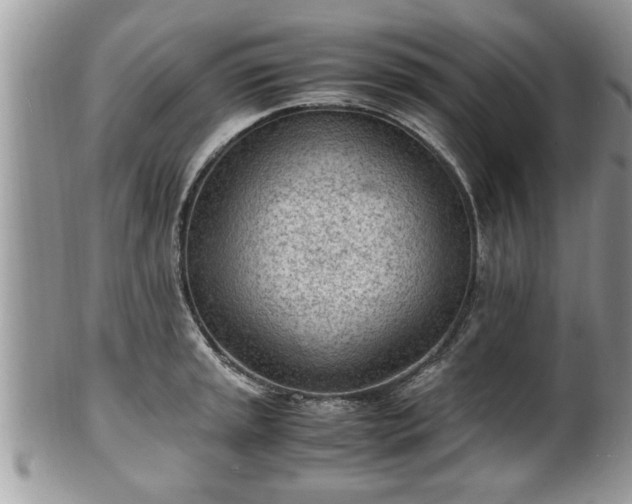 X0000101191045200807071310