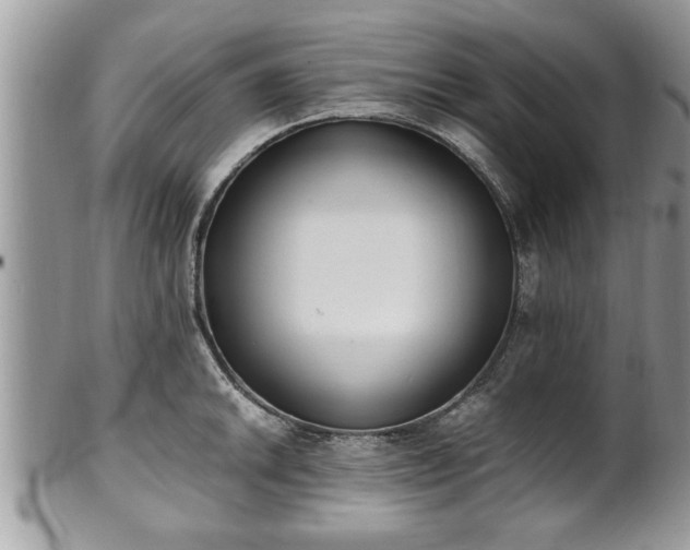 X0000101191046200807071310