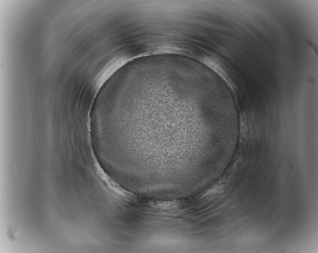 X0000101191047200807071310