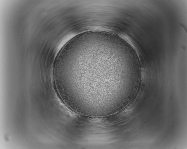 X0000101191048200807071310
