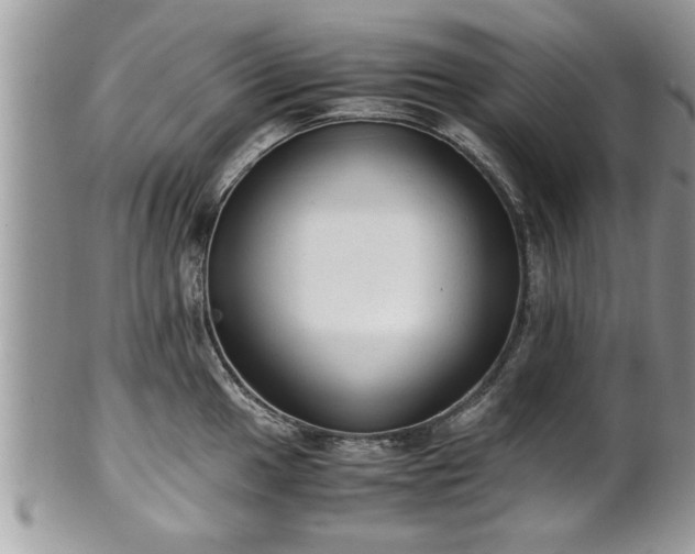 X0000101191049200807071310