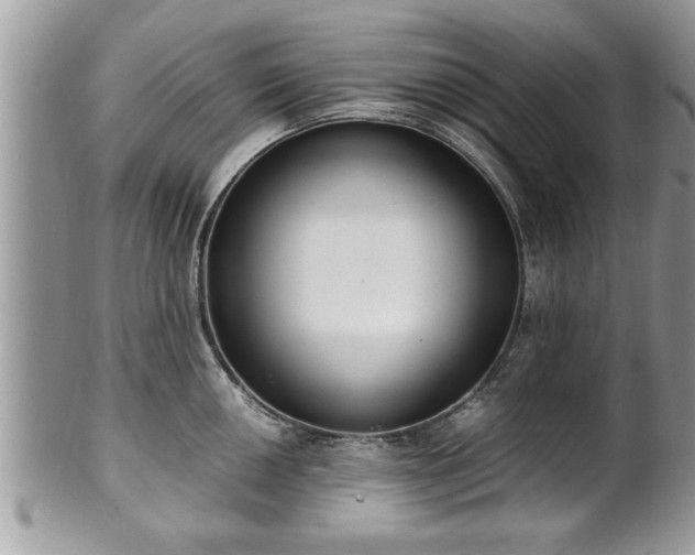 X0000101191050200807071310