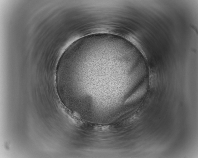 X0000101191051200807071310