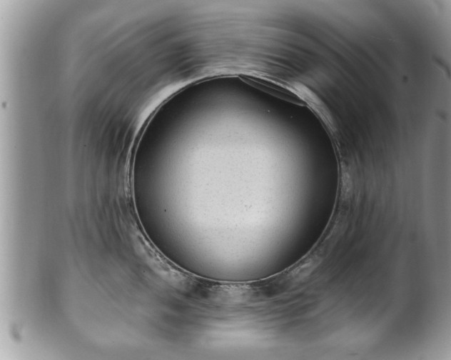 X0000101191052200807071310