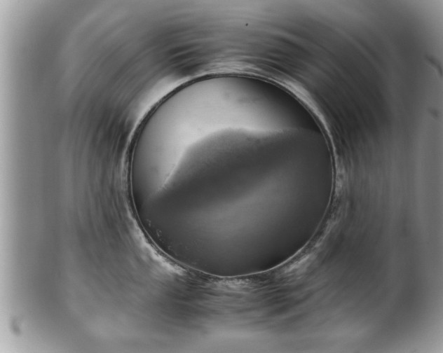 X0000101191053200807071310