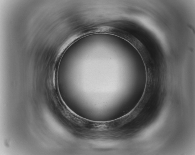X0000101191054200807071310
