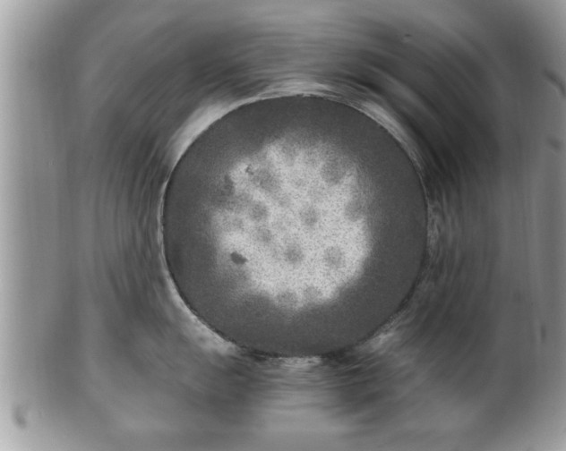 X0000101191055200807071310