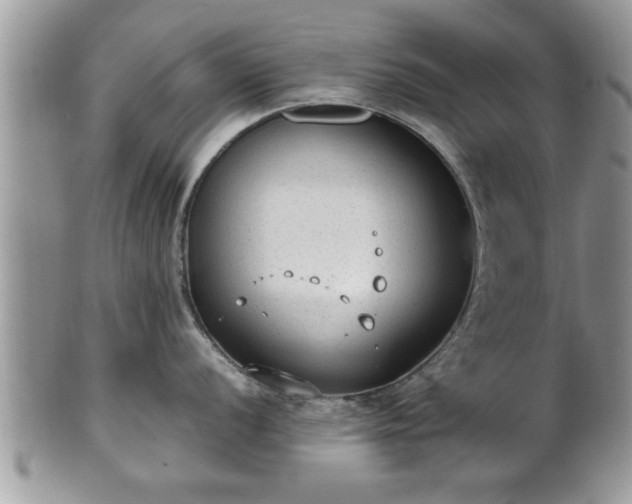 X0000101191056200807071310