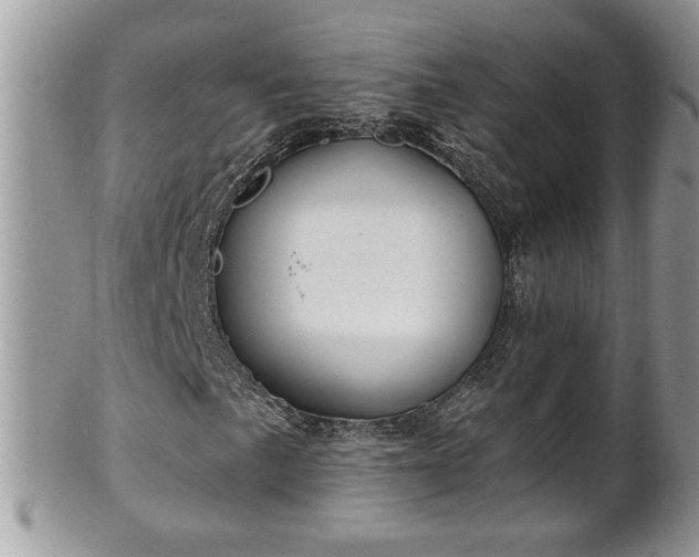 X0000101191057200807071309