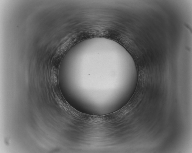 X0000101191058200807071309