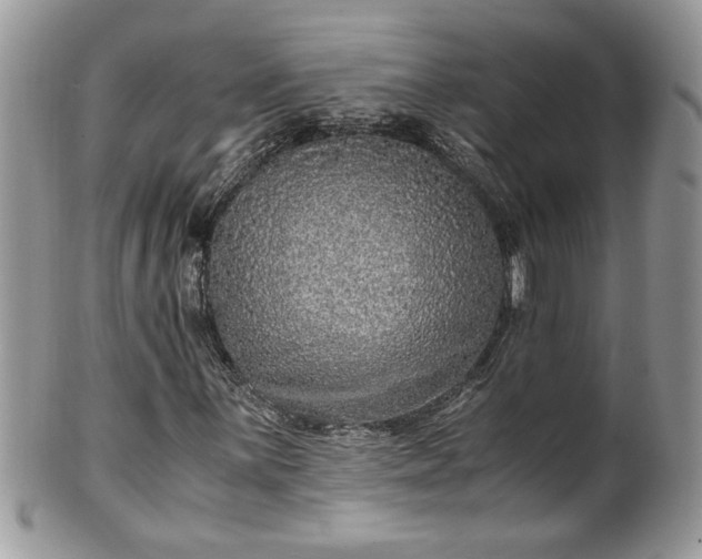 X0000101191059200807071309