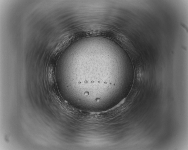 X0000101191060200807071309