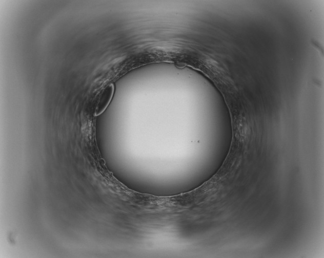 X0000101191061200807071309