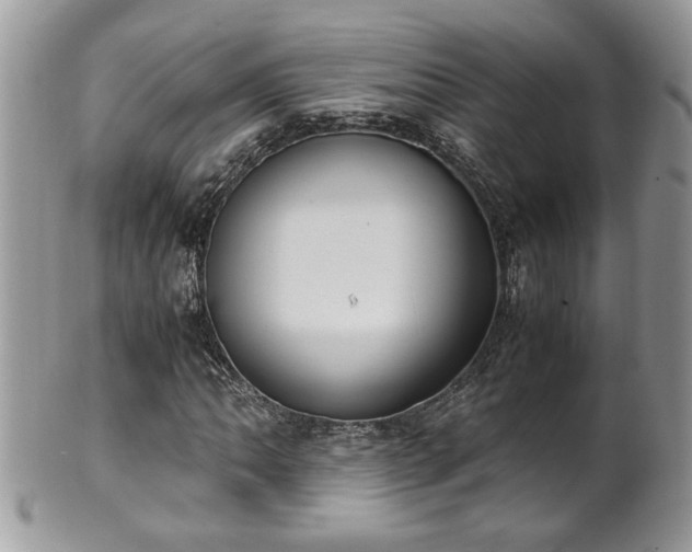 X0000101191062200807071309