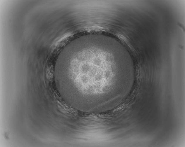 X0000101191063200807071309