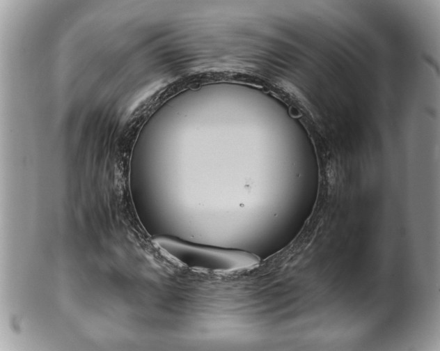 X0000101191064200807071309
