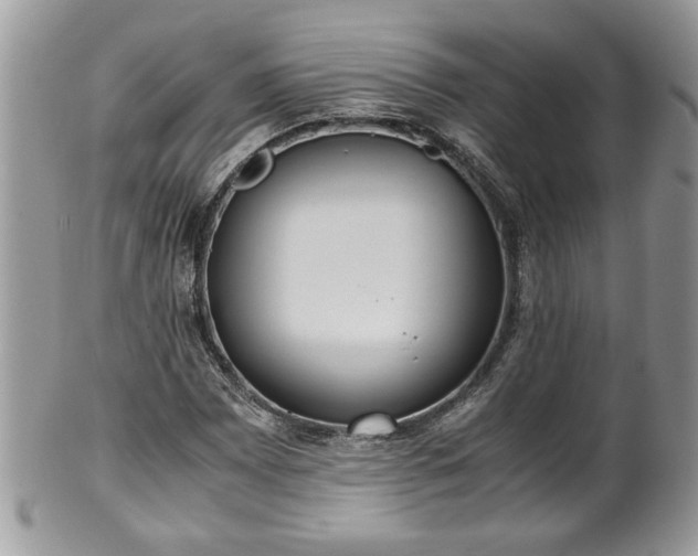 X0000101191065200807071309