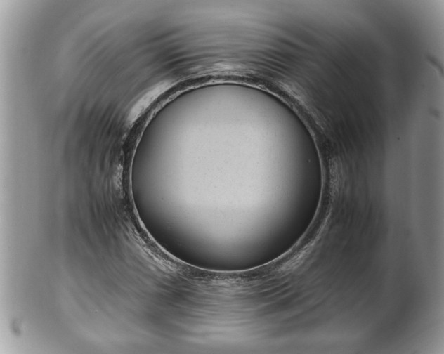 X0000101191066200807071309