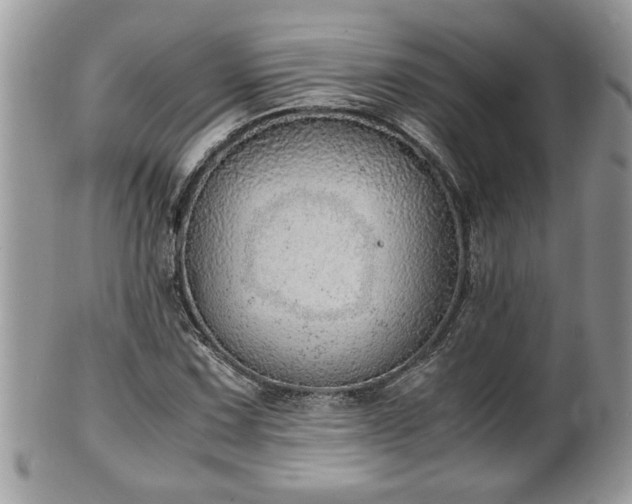 X0000101191067200807071309