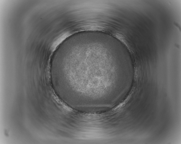 X0000101191071200807071309