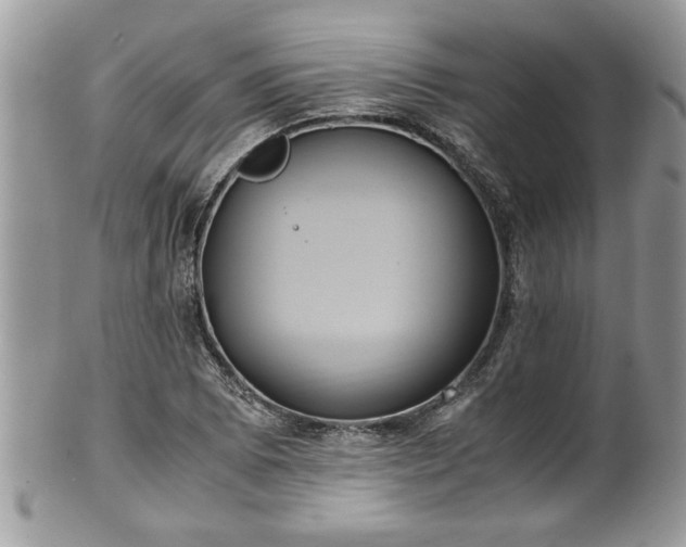 X0000101191073200807071309